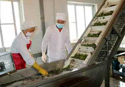 4-《황금산타령》을 부르며